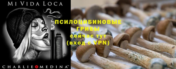 Альфа ПВП Касимов